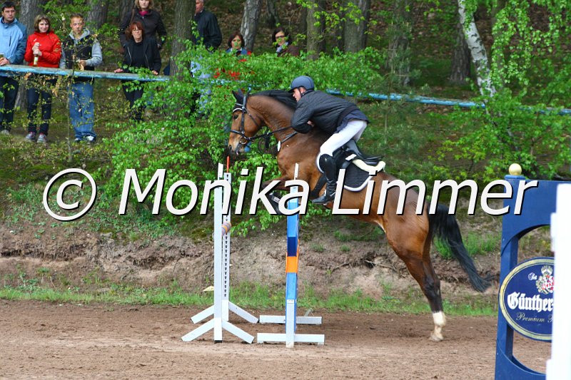 005L5343_Arthur V_Spring M mit Stechen.JPG